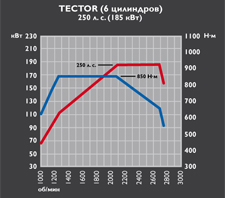 tector6_250